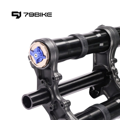 79Bike Falcon Pro FastAce ALX33RC 2.0 Fork (for Replacement)